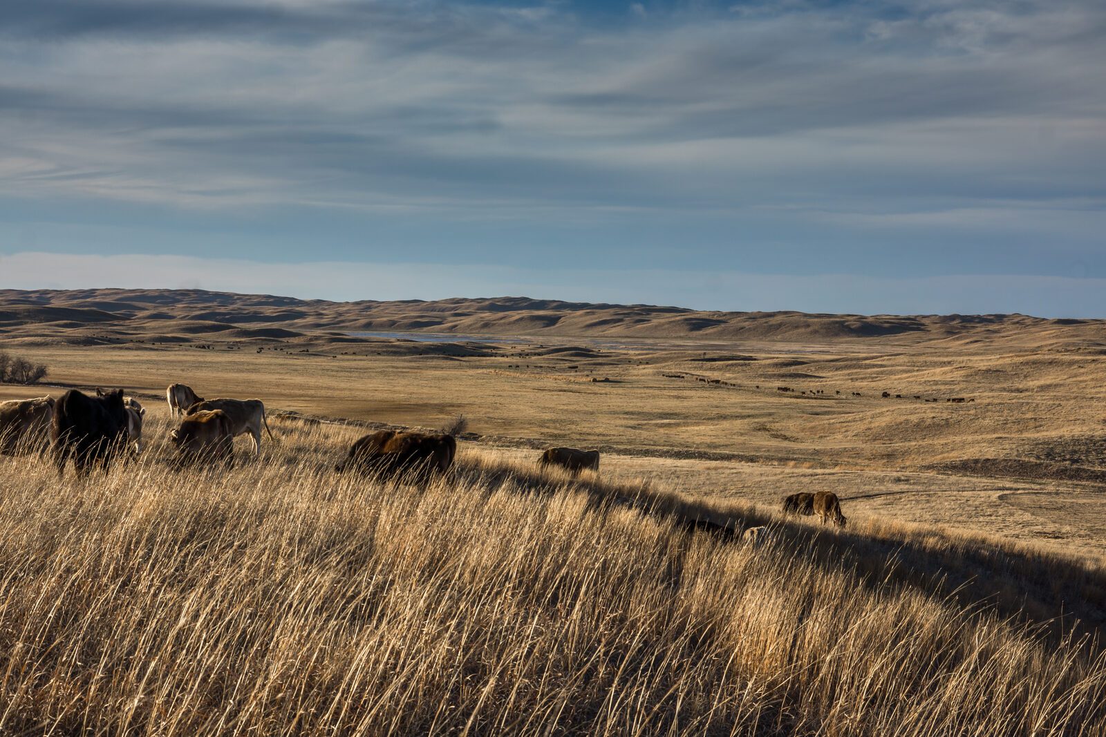 Early spring valley view