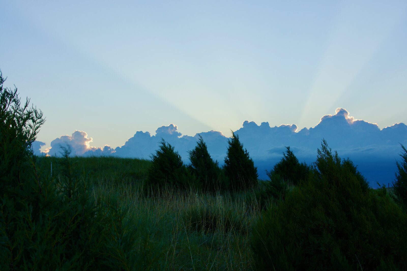 Early morning sunbeams over cedar ridge