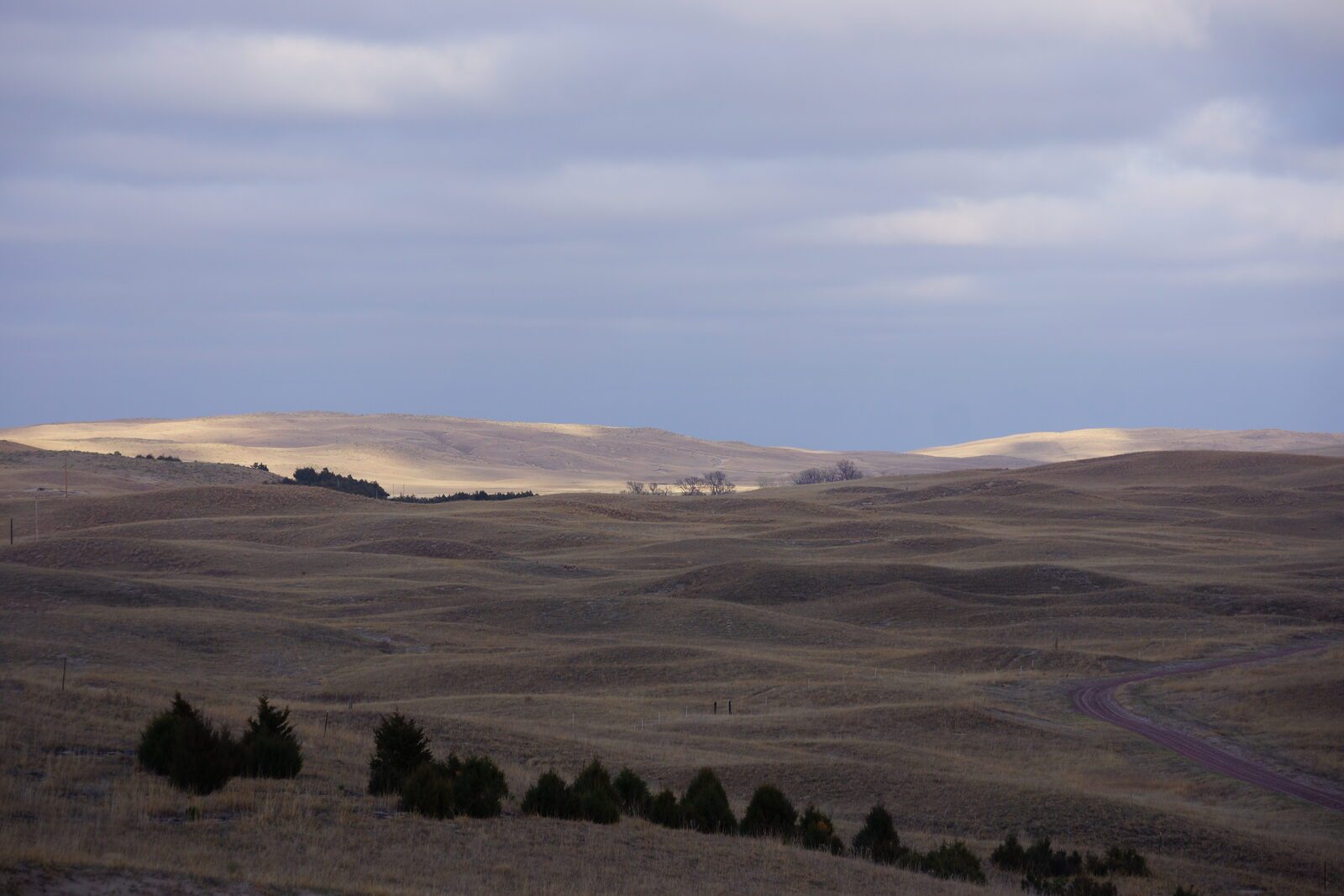 Brown hills landscape