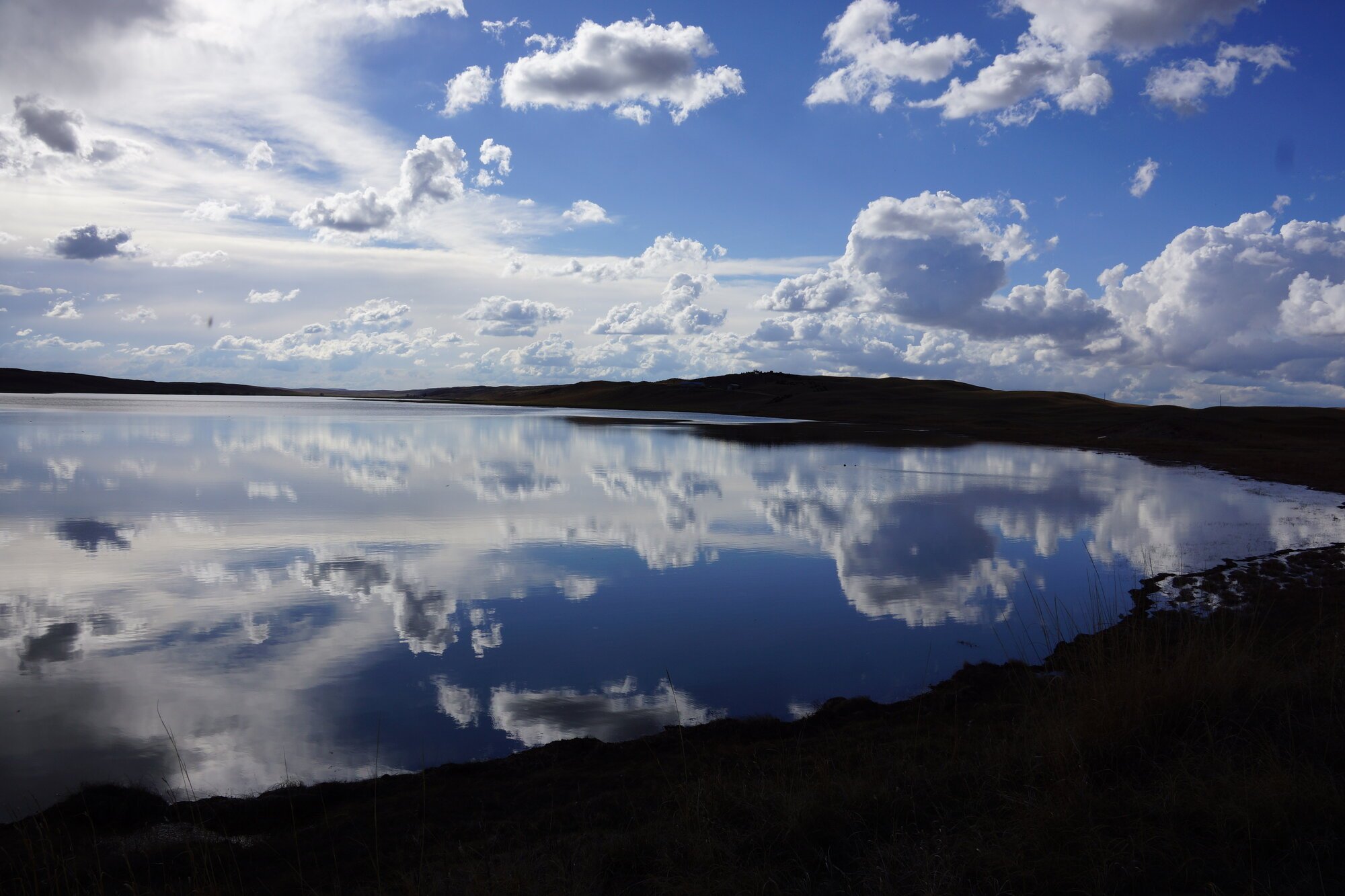 JHL Ranch cattle in the Nebraska Sandhills